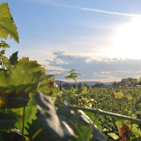 The Originals Le Clos Des Tanneurs Hotel 3*